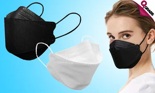 N95 Face Masks: Box of TEN!